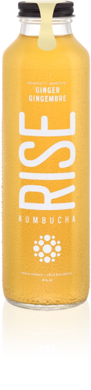 Rise Kombucha - Ginger (414ml)