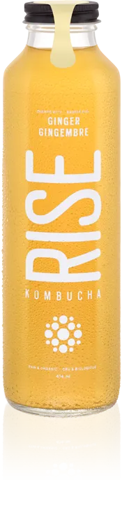 Rise Kombucha - Ginger (414ml)